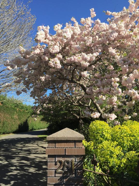 Hôtel Rhododendron Garden à Christchurch Extérieur photo
