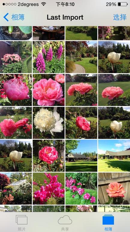 Hôtel Rhododendron Garden à Christchurch Extérieur photo