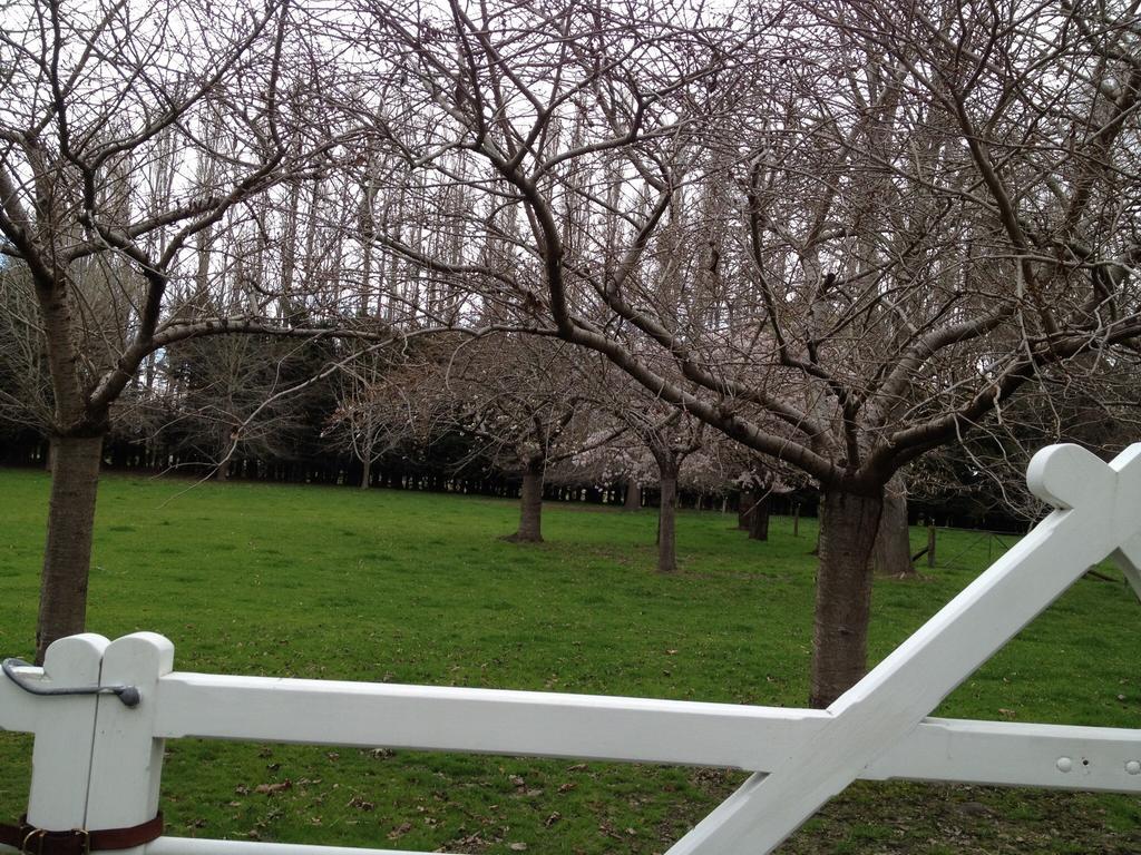 Hôtel Rhododendron Garden à Christchurch Chambre photo