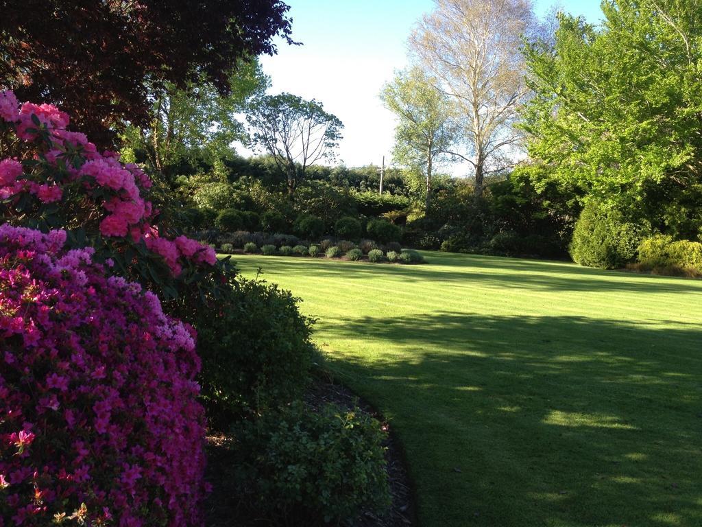 Hôtel Rhododendron Garden à Christchurch Chambre photo