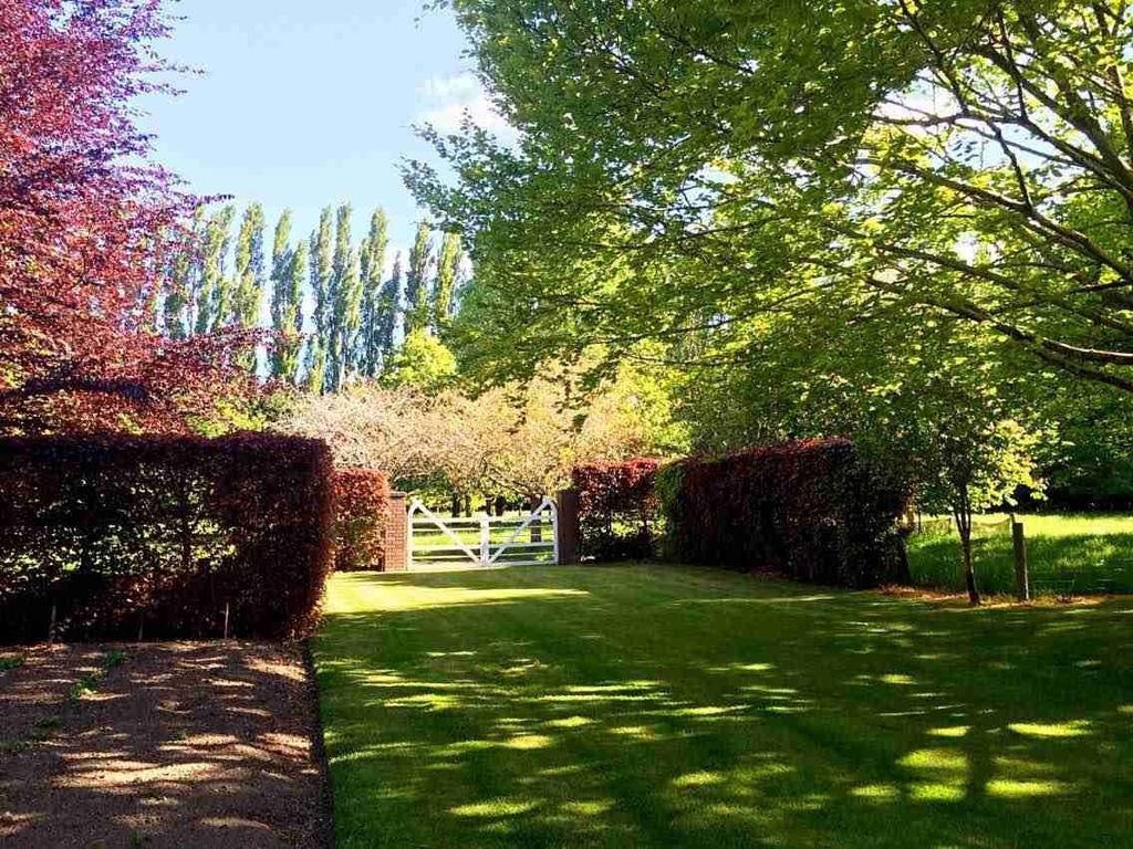 Hôtel Rhododendron Garden à Christchurch Chambre photo