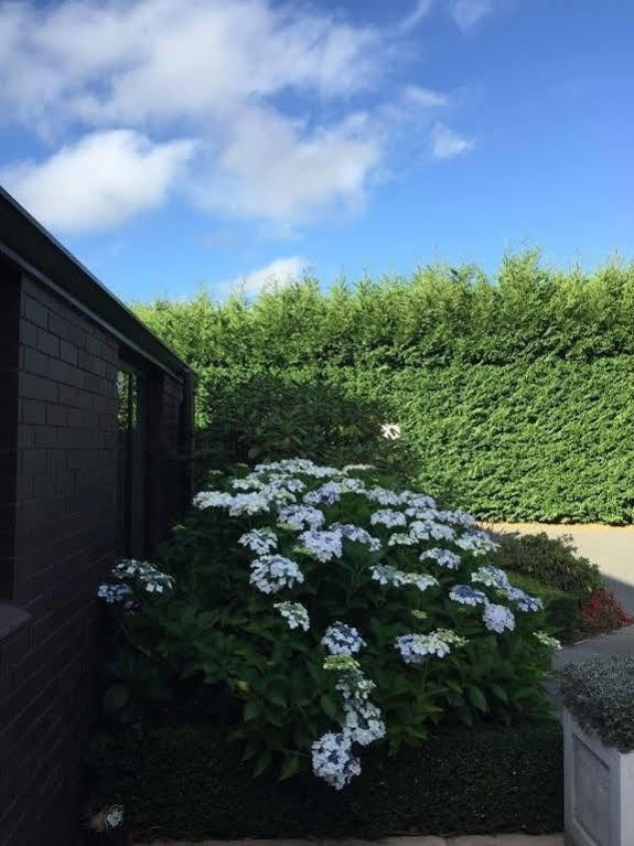 Hôtel Rhododendron Garden à Christchurch Extérieur photo